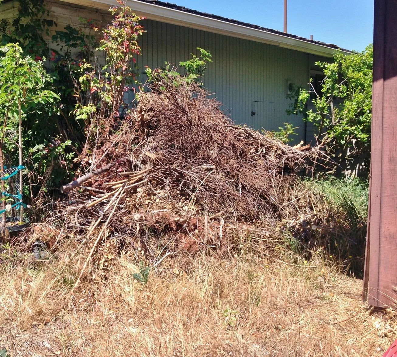 Corona del Mar Yard Debris Removal